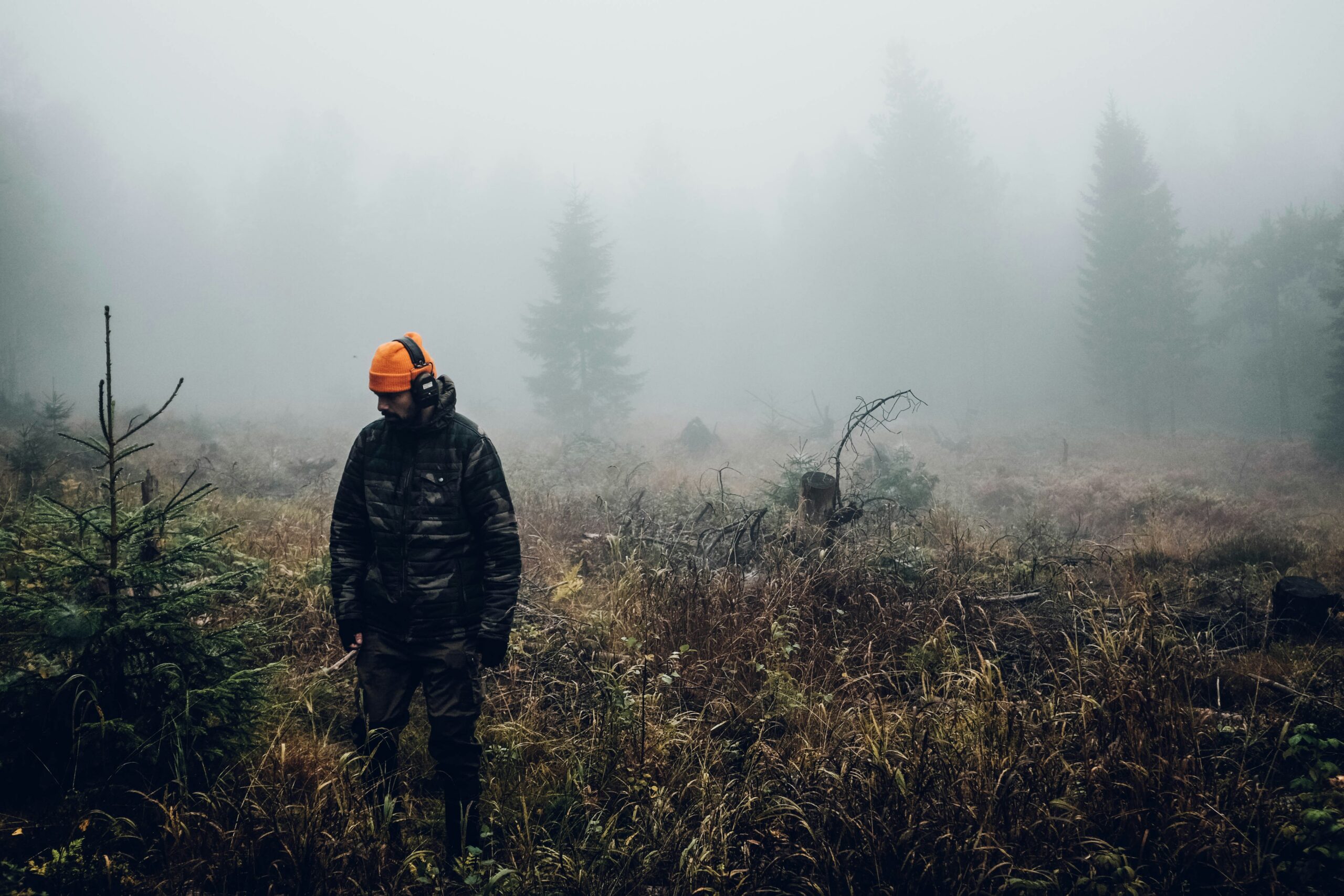 fredrik-ohlander-zFCnmzG8cXA-unsplash