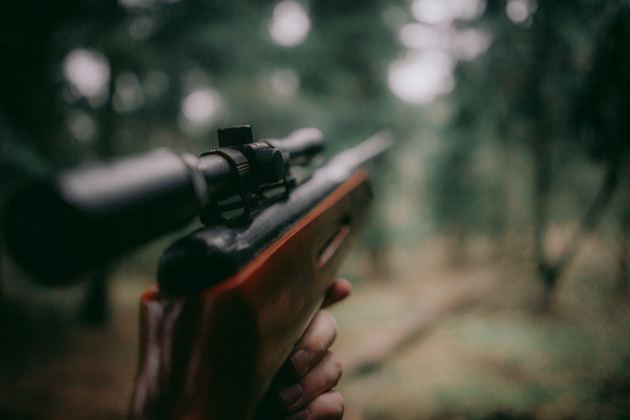 sebastian-pociecha-z40srU0ugCk-unsplash