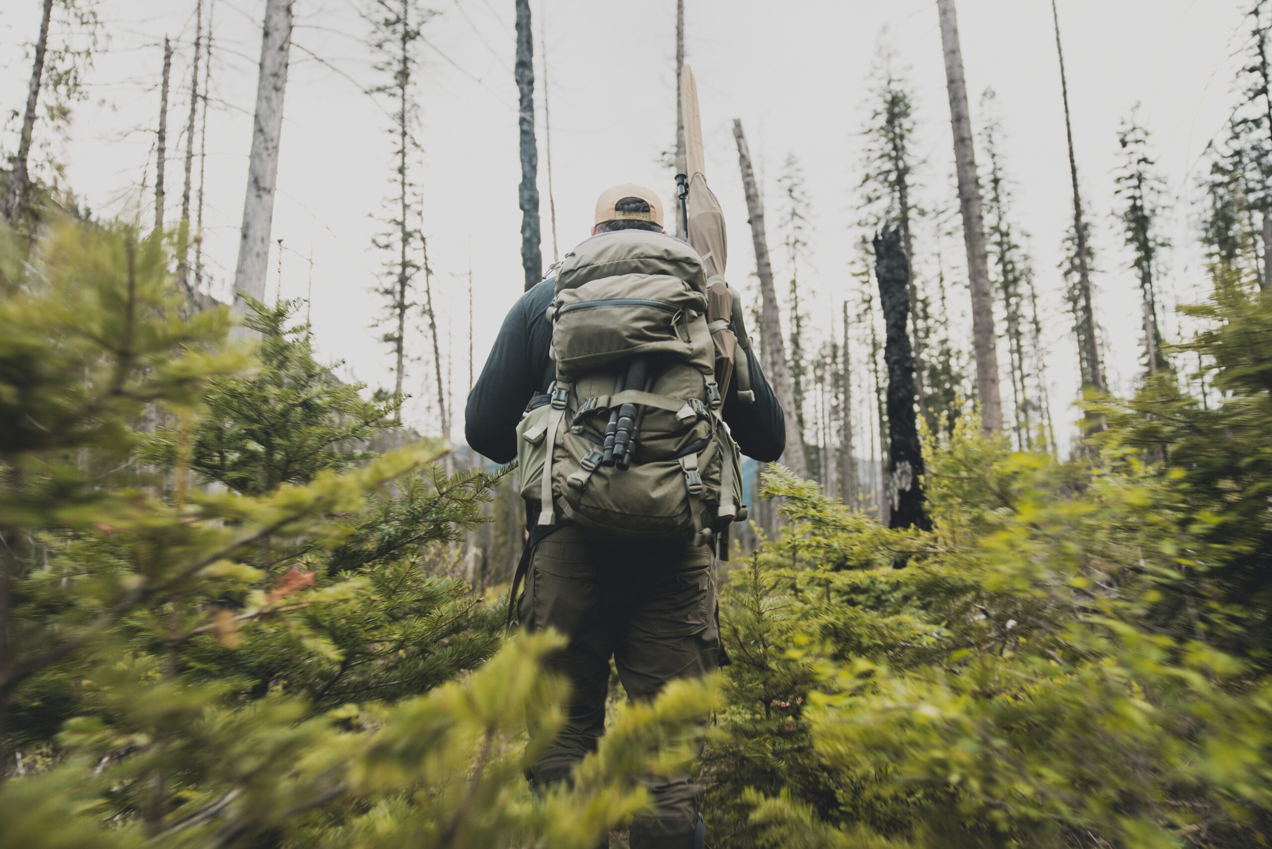 tyree-adams-AZzC3REjCm0-unsplash